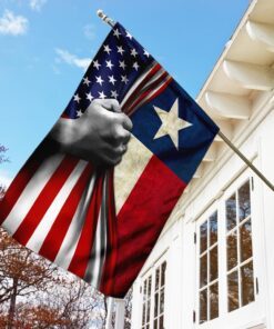texas flag 8183