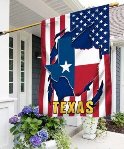 Texas Flag Land Of The Free BNN184Fv2