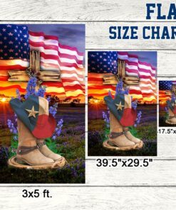 texas flag lone star state lnt166f 7220