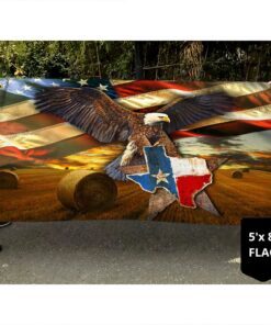 texas flag patriotic eagle u.s. state qnk884f 3345