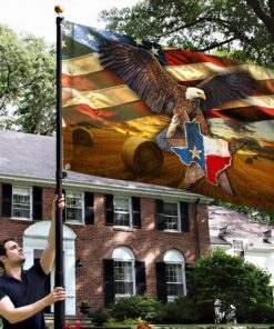 texas flag patriotic eagle u.s. state qnk884f 4088