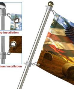 texas flag patriotic eagle u.s. state qnk884f 7245