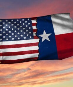 Texas Flag Texas American Grommet Flag QTR255GFv1