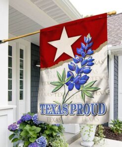 Texas Flag Texas Proud LNT271F