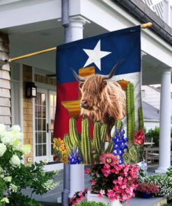 Texas Flag Western Country LNT111F