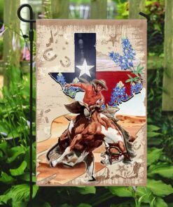texas horseback riding flag 6972