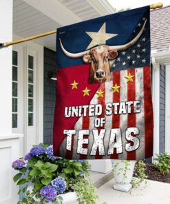 Texas Longhorn American Flag THN3685F