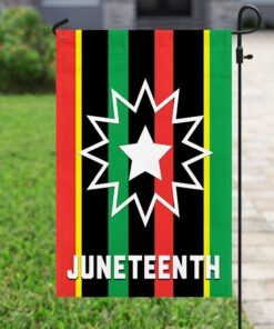 the juneteenth flag 8058