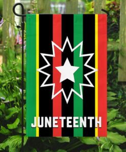 the juneteenth flag 8138