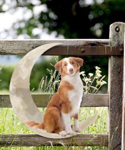 toller dog and moon hanging metal sign qnk879msv42 7010