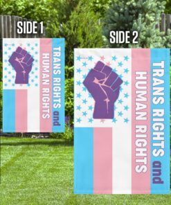 transgender lgbt flag 1951