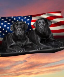 Two Black Labs Grommet Flag Labrador Retriever American Flag TQN97GFv1