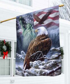 US Patriotic Flag Eagle Winter Snow DDH2992F