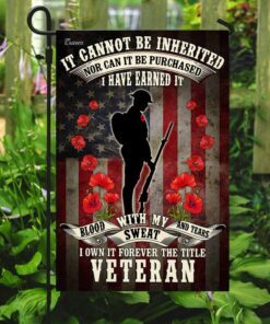 veteran remembrance day poppy american us flag 5686