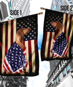 Viszla American Patriot Flag