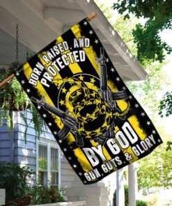 we the people. 2nd amendment flag 2654
