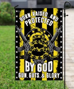we the people. 2nd amendment flag 3171