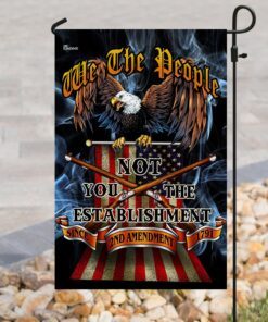 we the people. 2nd amendment flag 6202