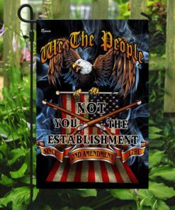 we the people. 2nd amendment flag 6509