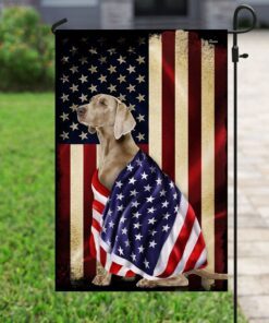 weimaraner american patriot flag 5568