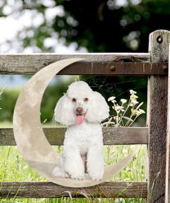 white toy poodle dog and moon hanging metal sign qnk879msv27a 1185