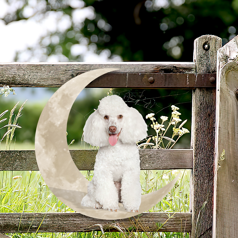 White Toy Poodle Dog And Moon Hanging Metal Sign QNK879MSv27a - Image 4