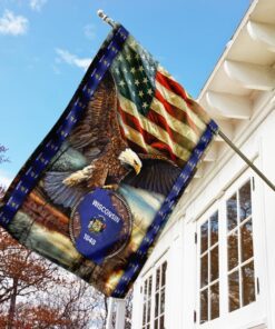 wisconsin state eagle american flag 1129