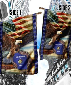 wisconsin state eagle american flag 6781