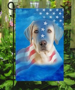 yellow labrador dog american flag 1549