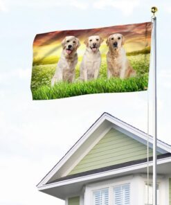 yellow labrador retriever grommet flag tqn03gf 6998