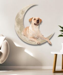 yellow labrador retriever on the moon hanging metal sign qnk1012msv1a 5747