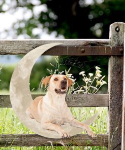 yellow labrador retriever on the moon hanging metal sign qnk1012msv1a 6585