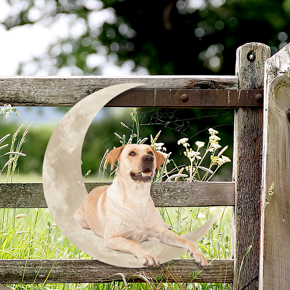 Yellow Labrador Retriever On The Moon Hanging Metal sign QNK1012MSv1a - Image 4