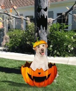 Yellow Labrador Retriever Pumpkin Halloween Garden Metal Sign QNK11MSv1