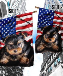 yorkshire terrier. american patriot flag 4086