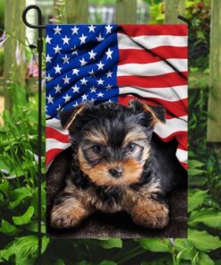 yorkshire terrier. american patriot flag 8739