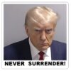 Never Surrender Vinyl Bumper Sticker Logo