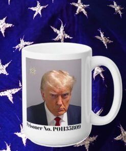 Trump Mug Shot Mug, Trump Mug, Donald Trump Mugs, Trump Gag Gift, President Mug