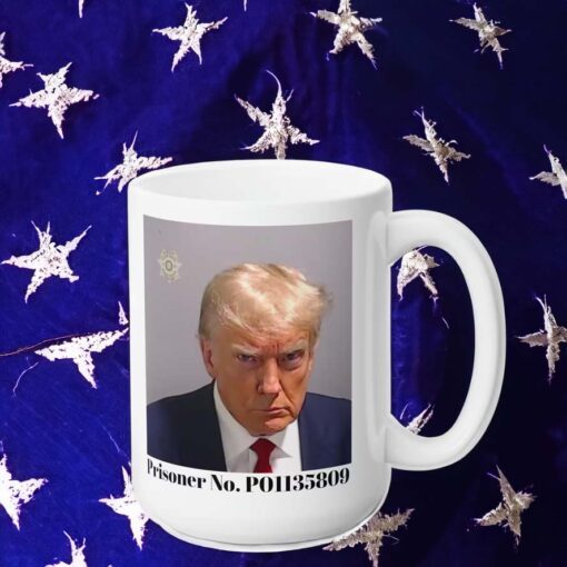 Trump Mug Shot Mug, Trump Mug, Donald Trump Mugs, Trump Gag Gift, President Mug