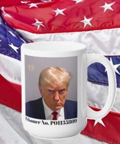 Trump Mug Shot Mugs, Trump Mug, Donald Trump Mug, Trump Gag Gift, President Mug