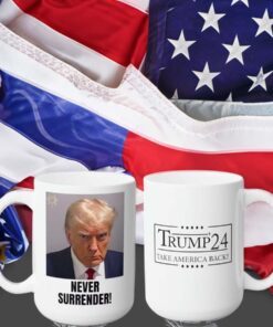 Trump Mugshot Mug, Trump Coffee Mug, Donald Trump Mugshot Shot, Trump Cup, Trump 2024, President Mug, 2024 Election